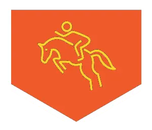 Riding lessons icon