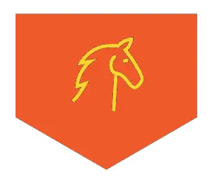 Riding lessons icon